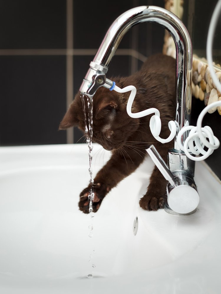 Игра с водой