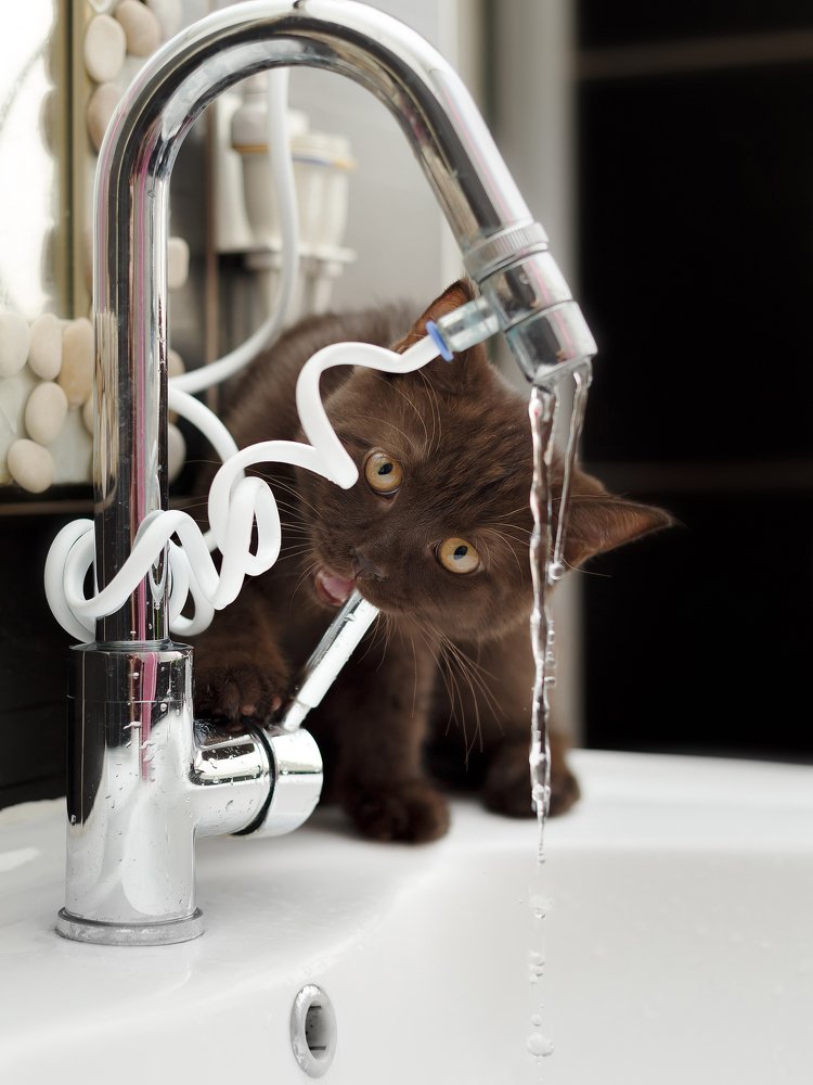 Photograph by Yuliia Nazarova