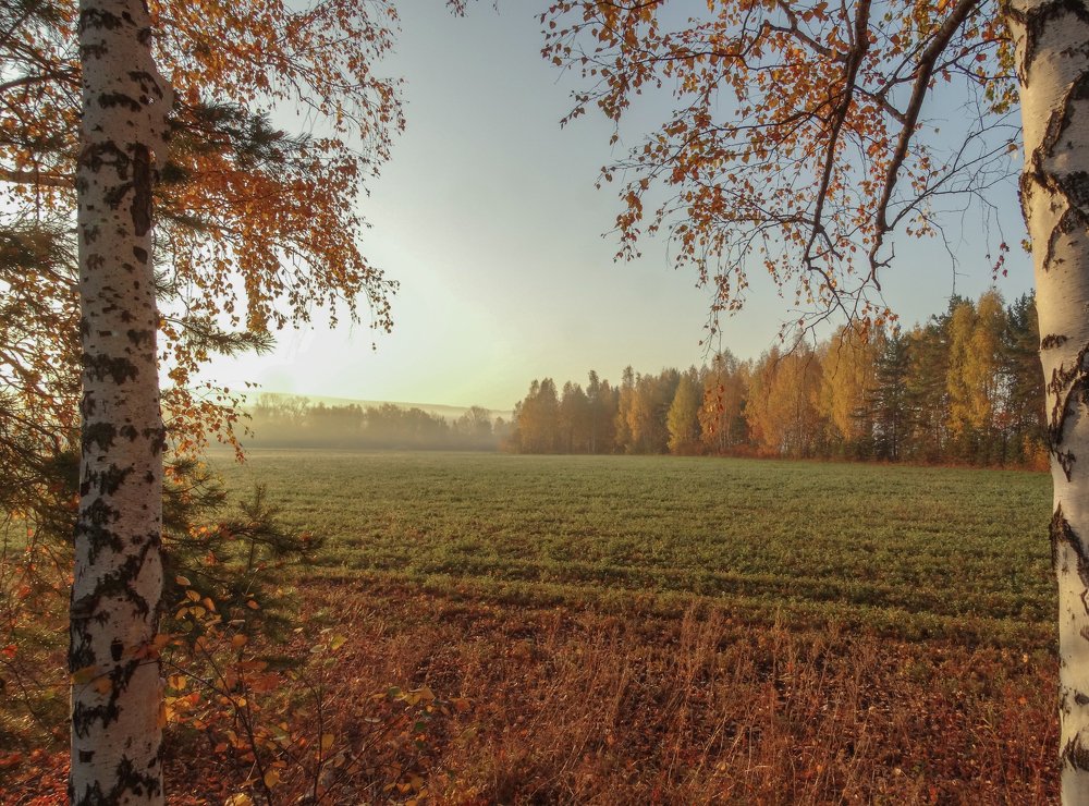 Осенний рассвет