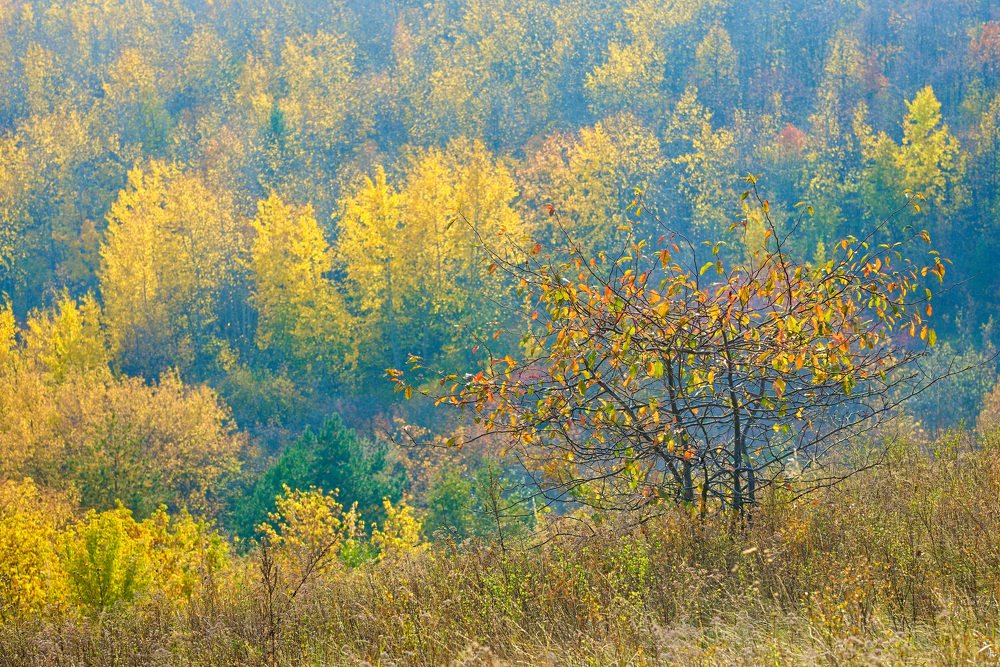 Photograph by Олег Шлыгин