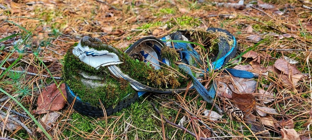 Photograph by Галина Нечипорук