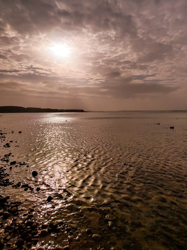 Photograph by Елена Башмакова