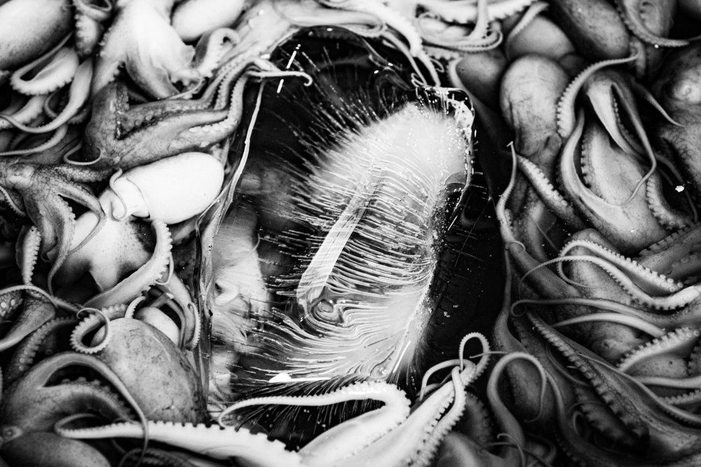 Photograph by Jaroslav Hora