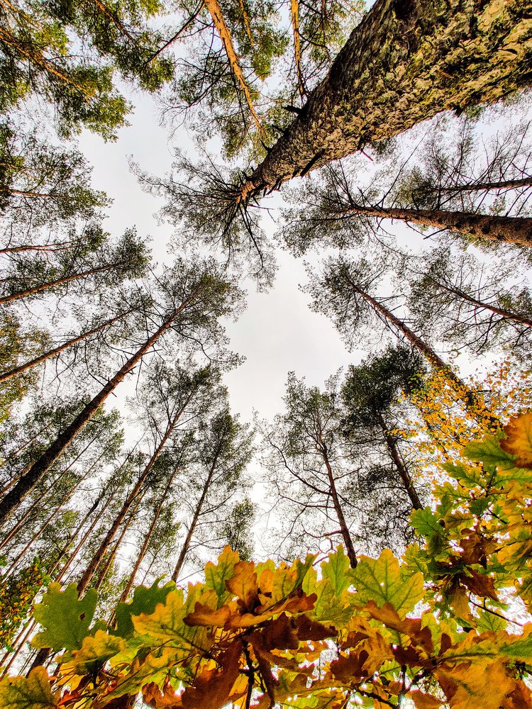 Photograph by Елена Башмакова