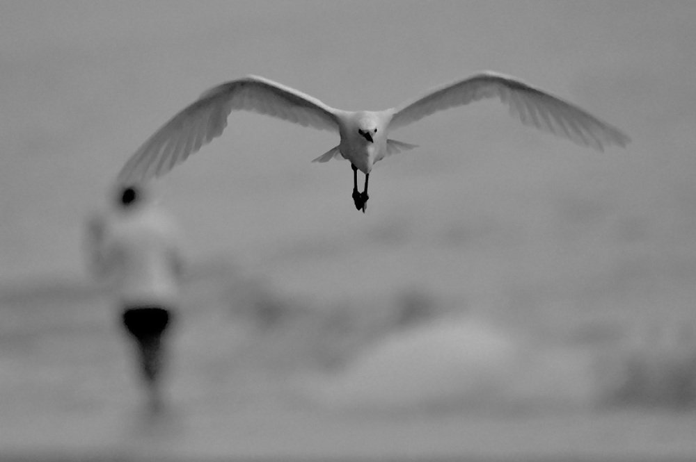 Photograph by Александр Каплан