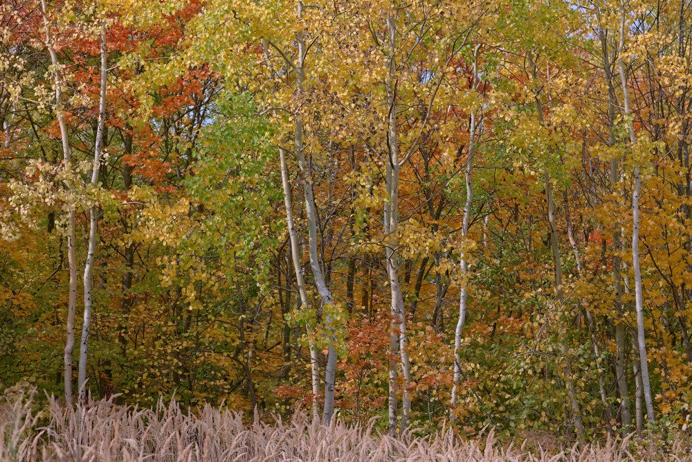 Photograph by Олег Шлыгин