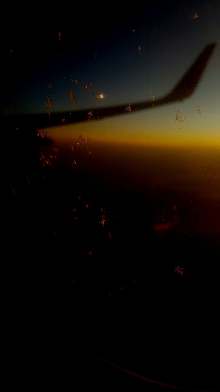 Photo #5125444