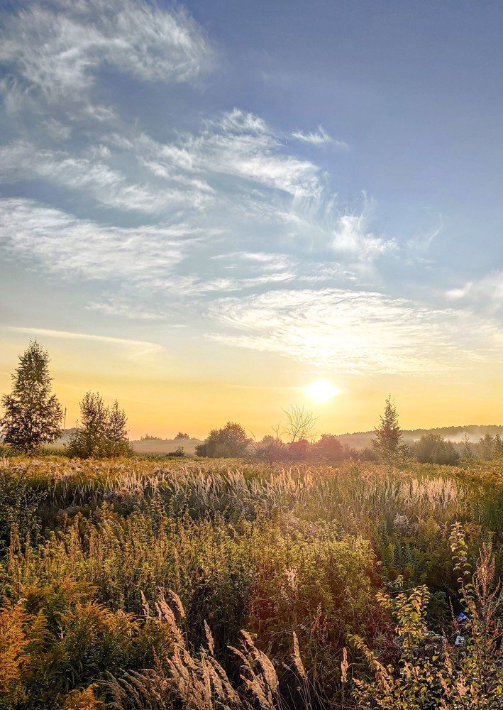 Photograph by Елена Башмакова