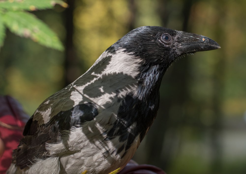 Photograph by Татьяна Юдина