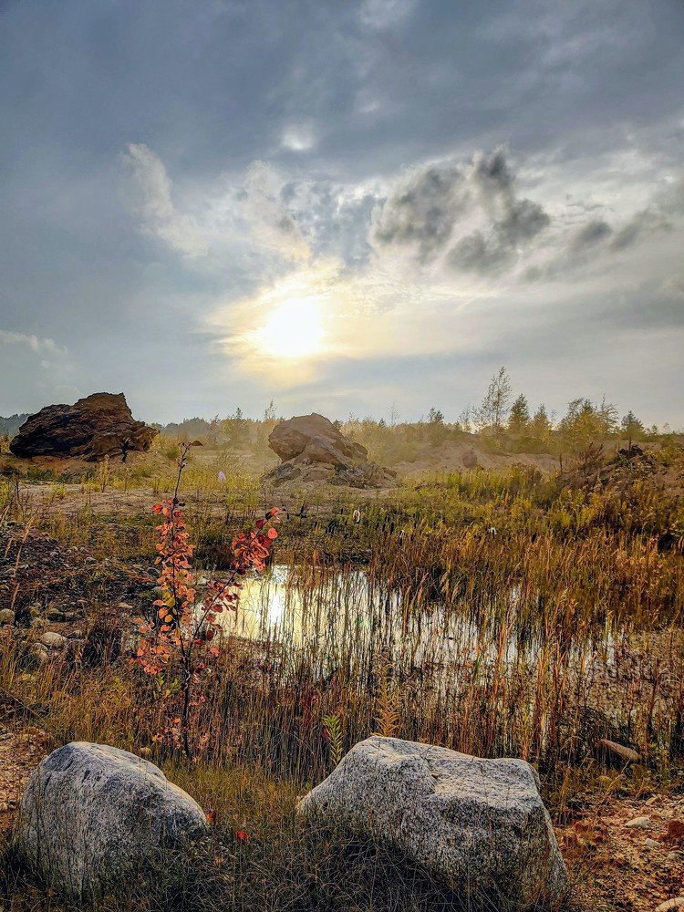 Photograph by Елена Башмакова