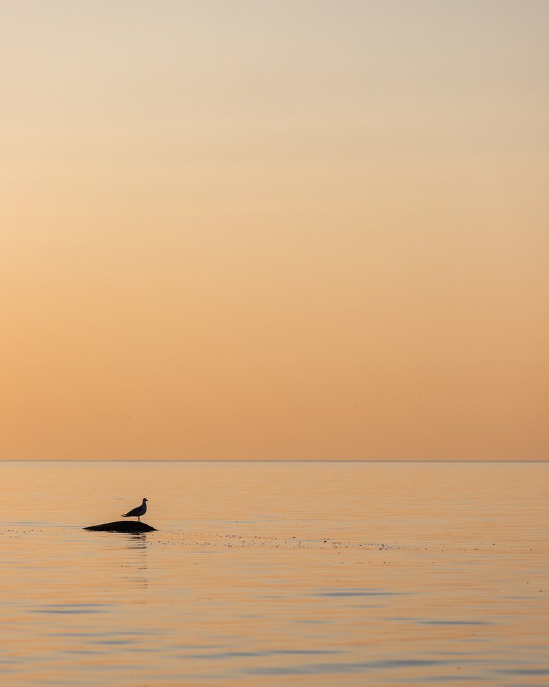 Photograph by Oleksandr Troitskyi