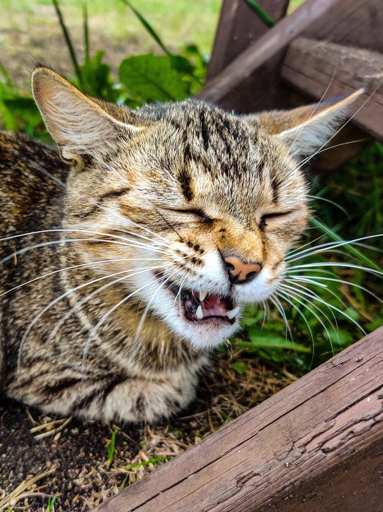 Photograph by Елена Башмакова