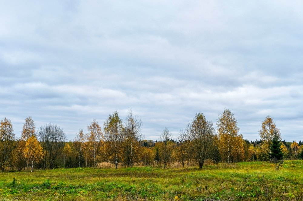 Photograph by Михаил Серебренников