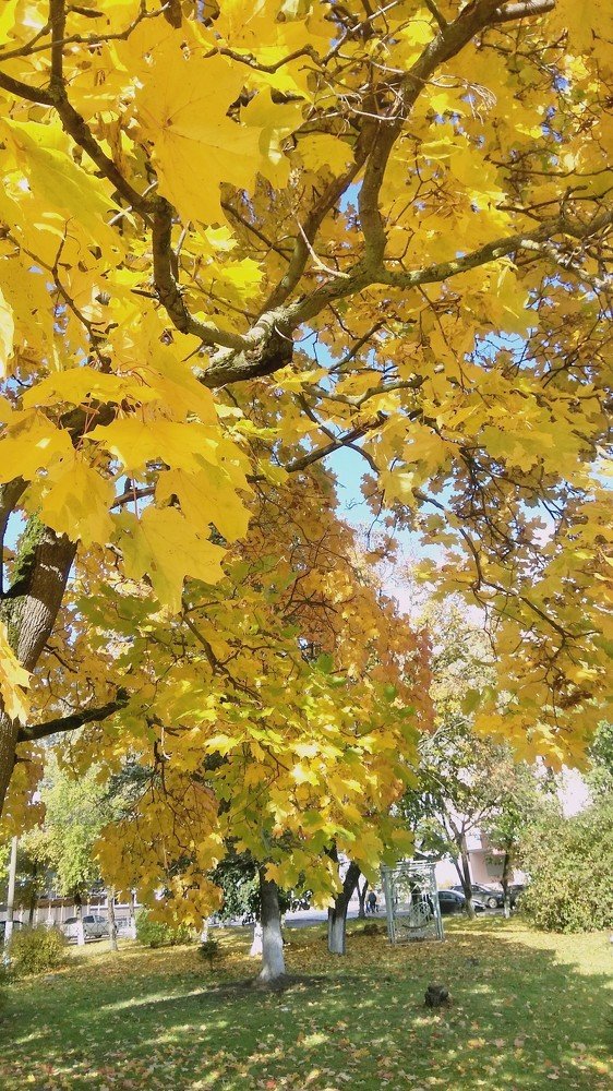 Photograph by Ирина Корнева