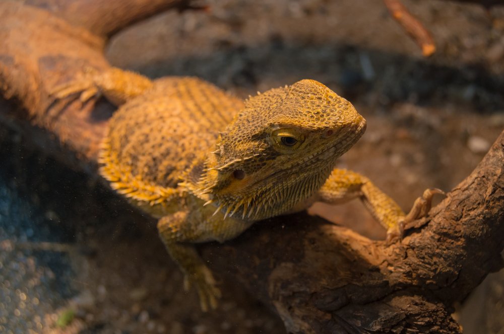 Photograph by Алексей Крукович