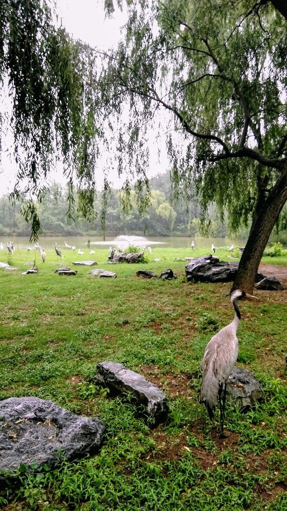 Photograph by Ирина Корнева