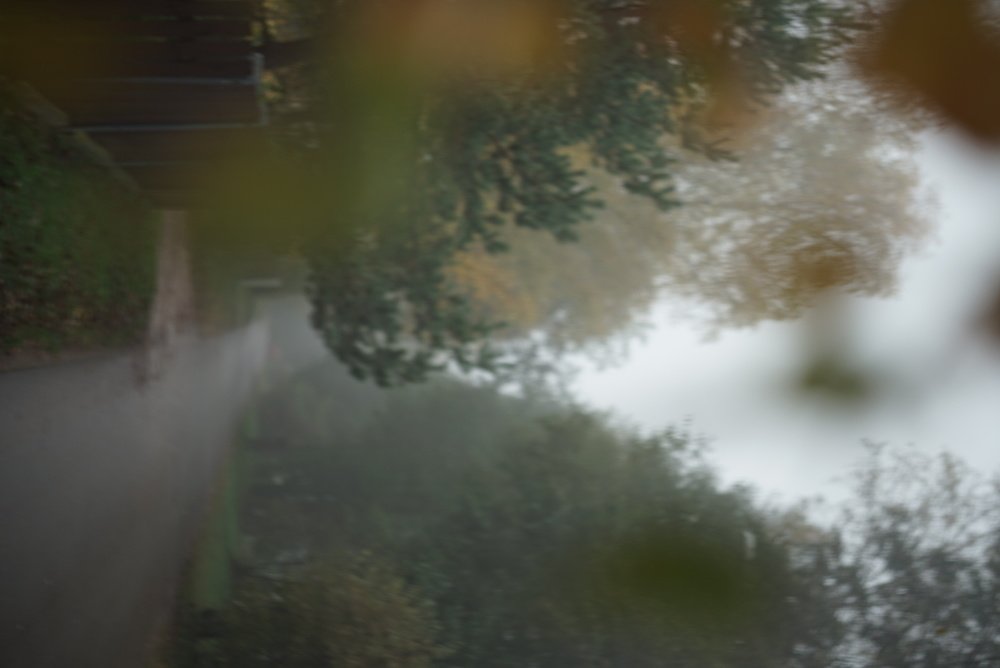 Photograph by Александра Ярнова