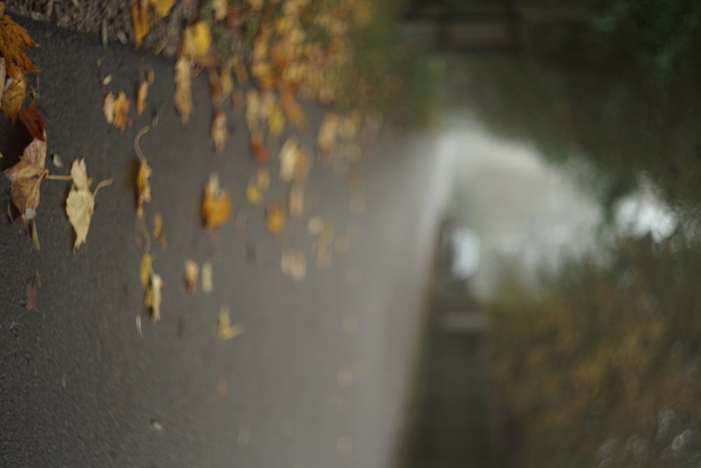 Photograph by Александра Ярнова