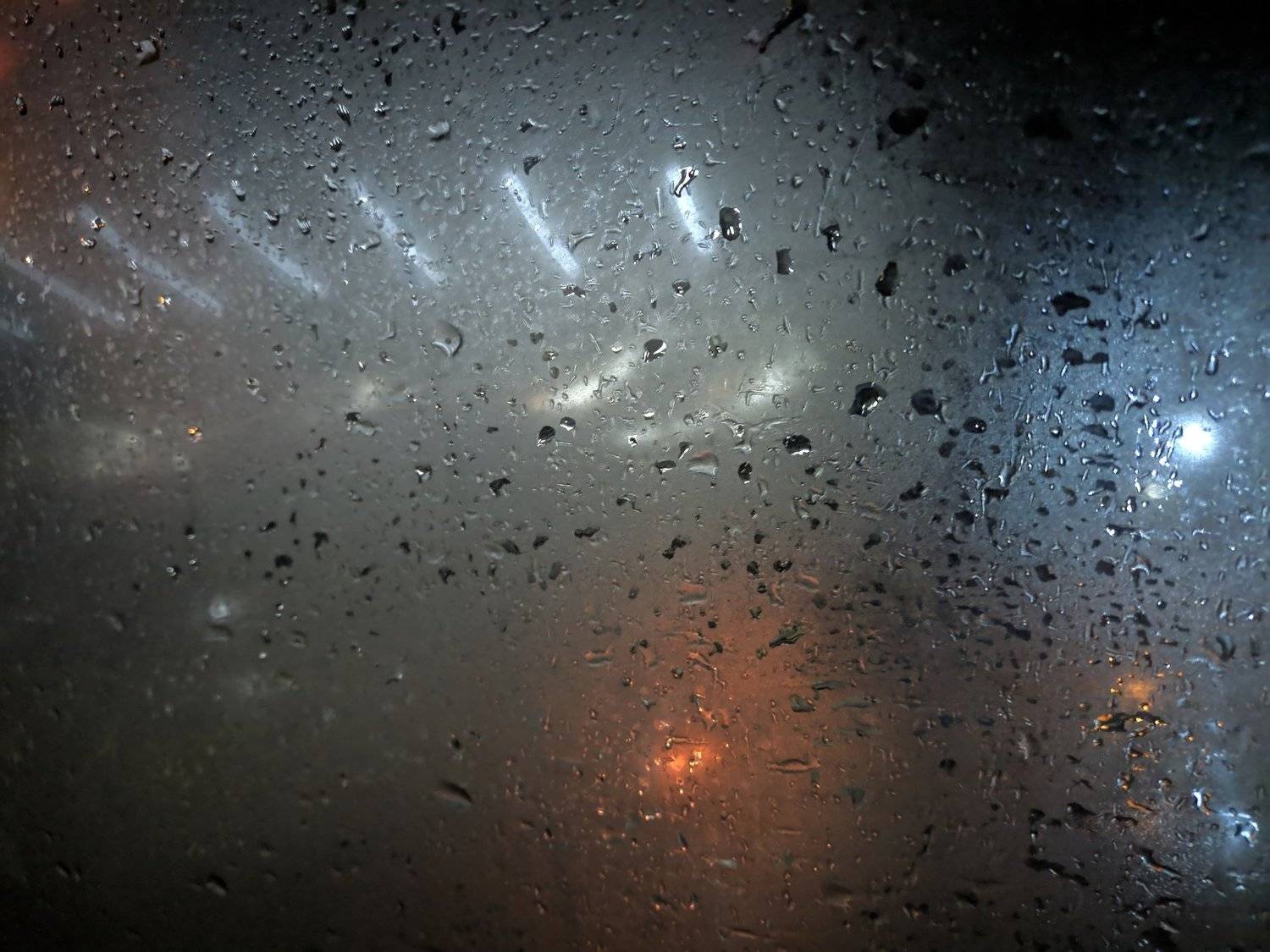 Photo #5125619