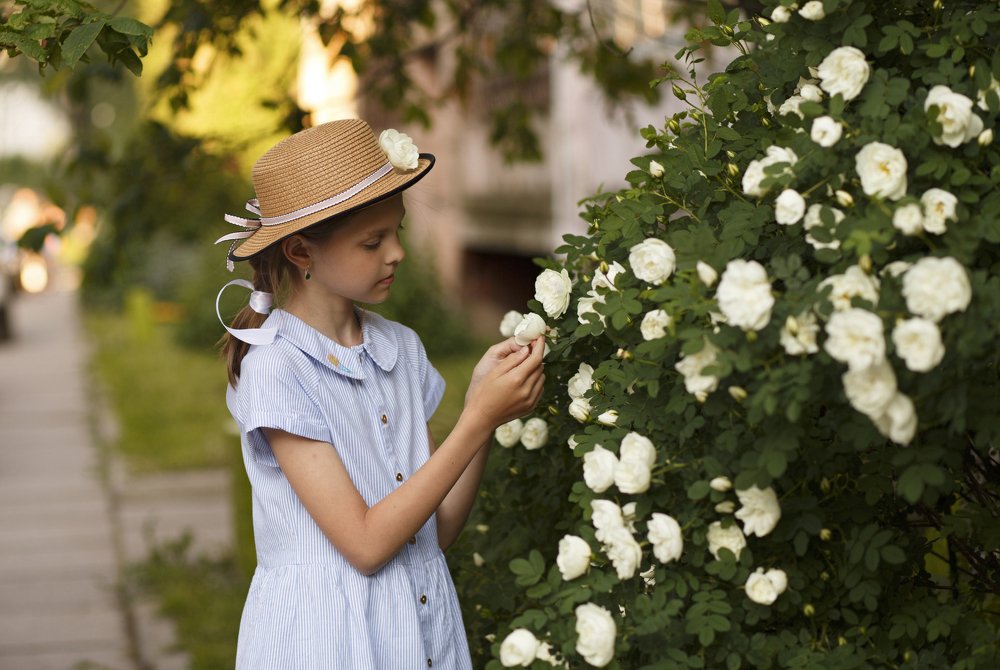 Фотография автора Анна Смирнова