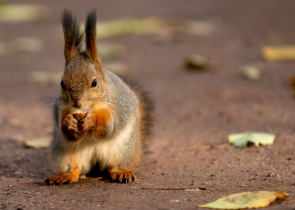 Photograph by юрий ященко