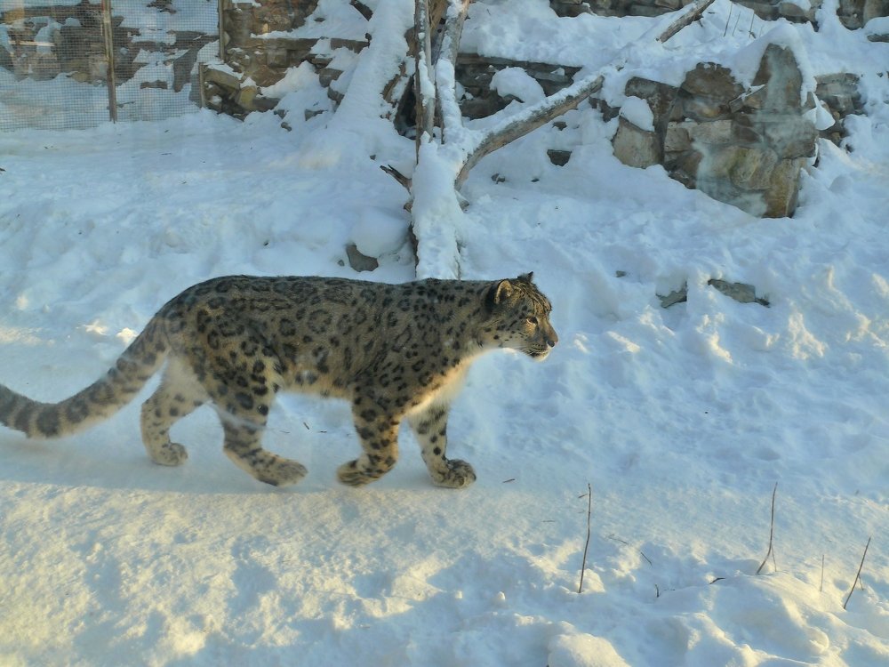 Фотография автора Клавдия Васильева