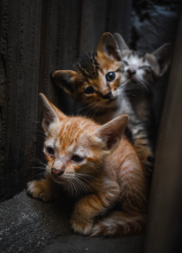 Photograph by Lary James Baylas