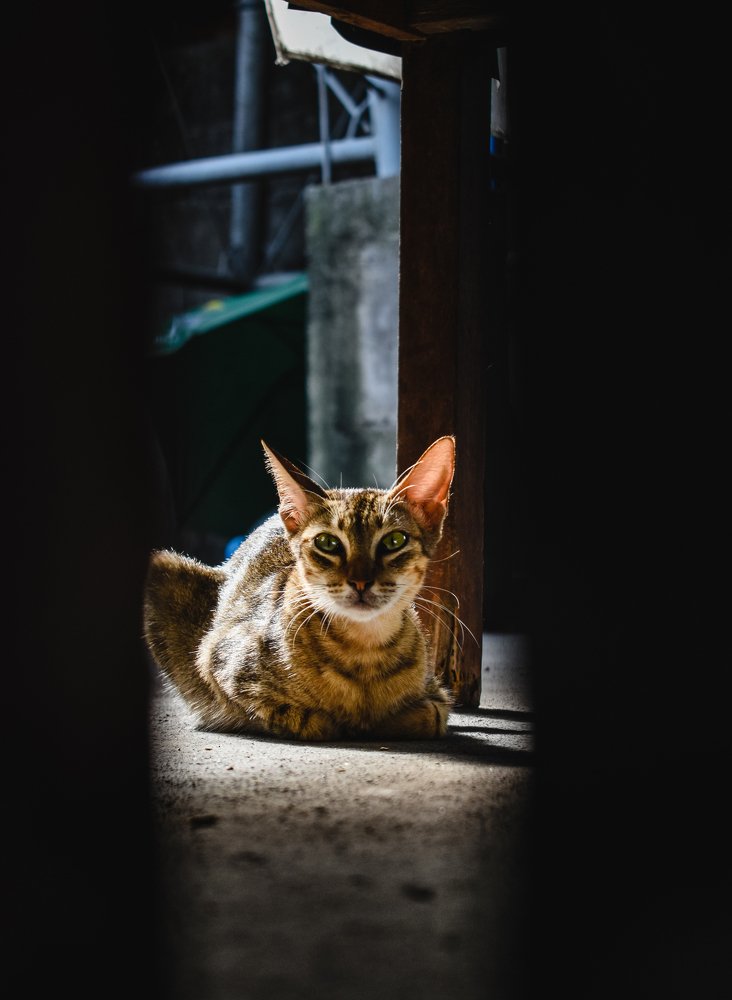 Photograph by Lary James Baylas