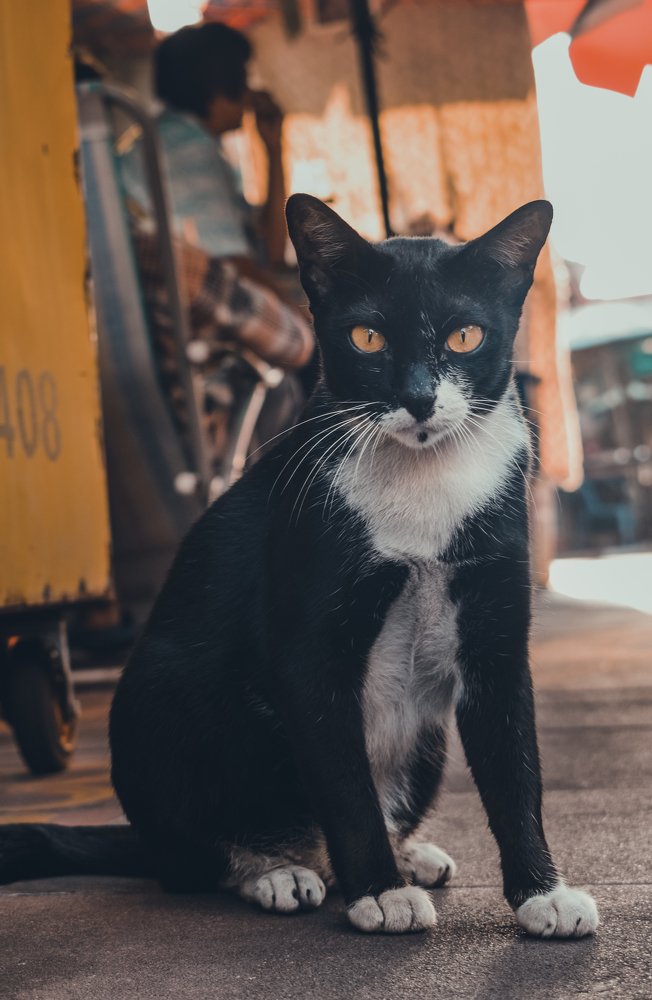 Photograph by Lary James Baylas