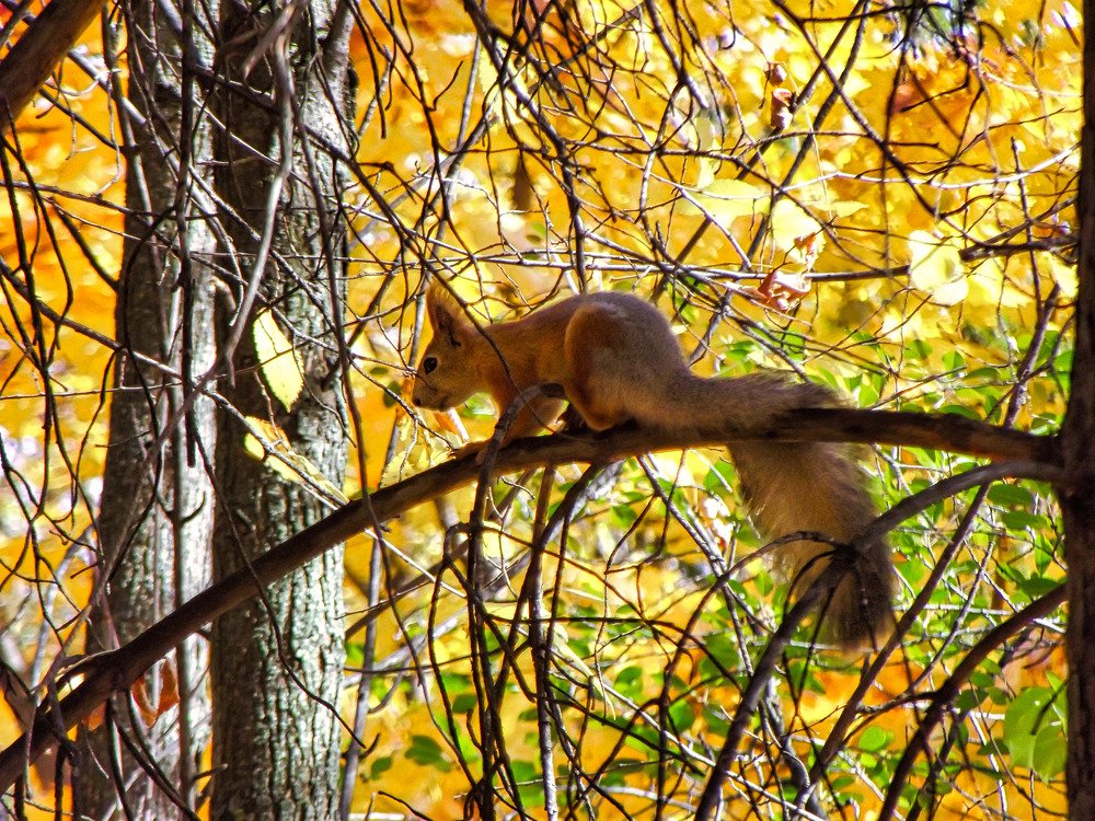 Photograph by Дмитрий Марков