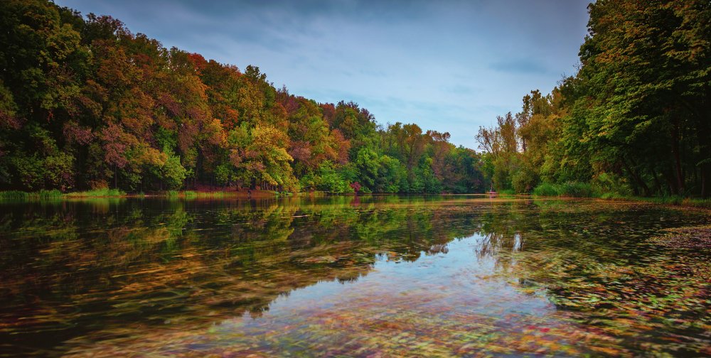 Photograph by Alaa Seif Eddine