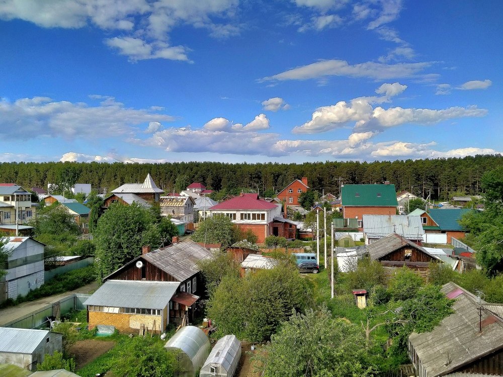 Photo #5125758