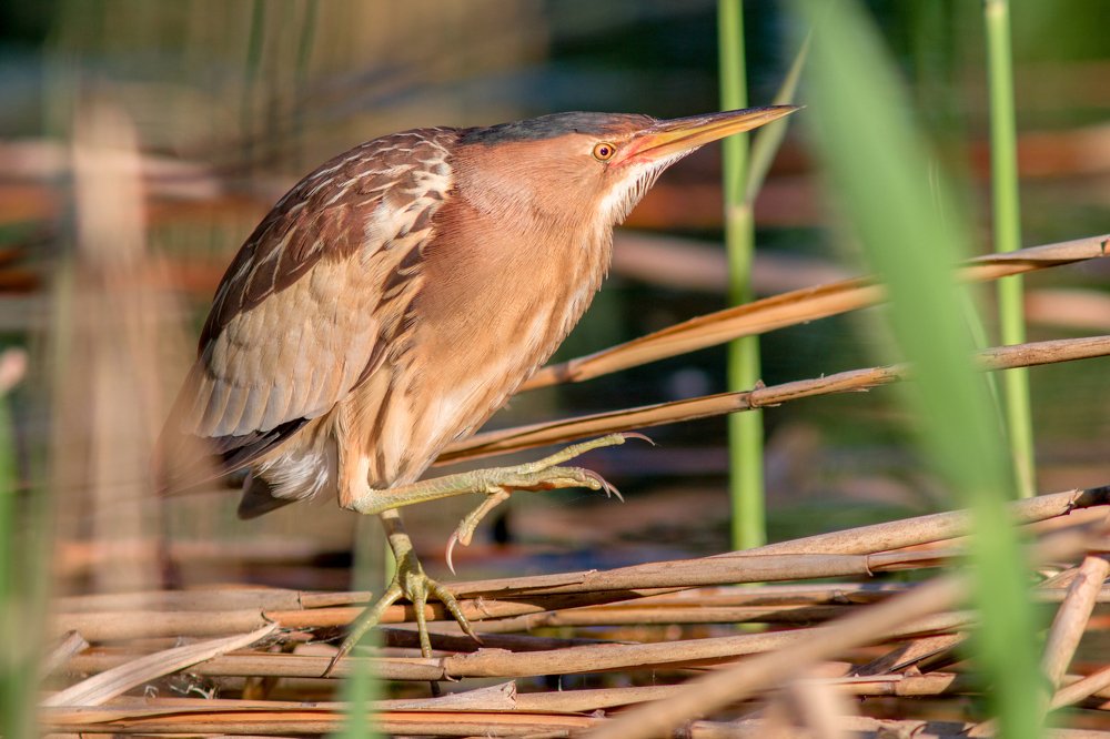 Photograph by Александр