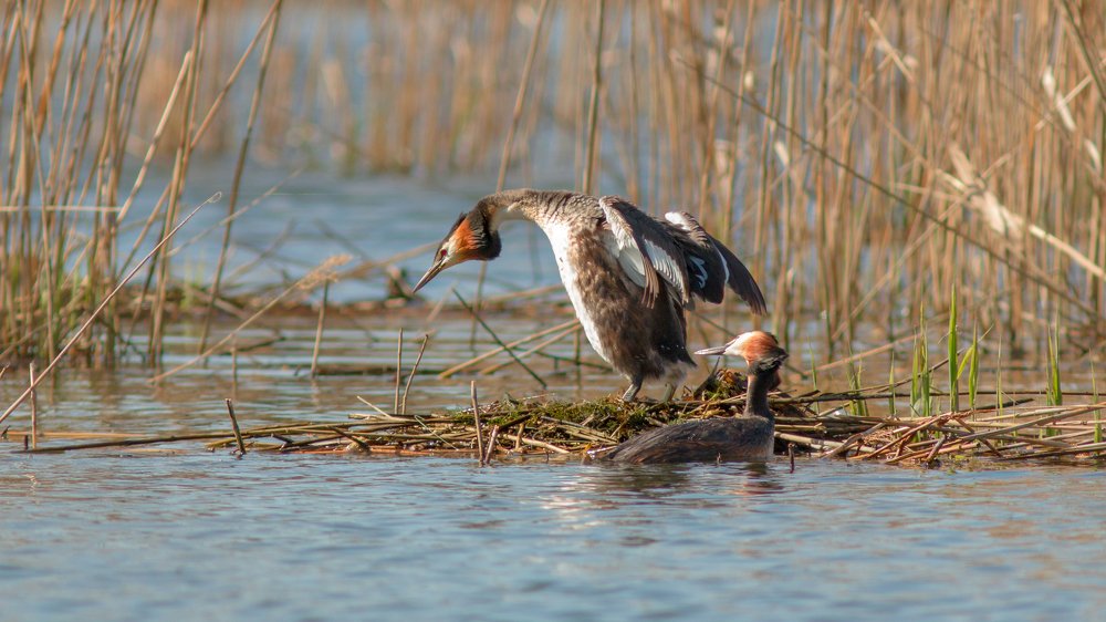 Photograph by Александр