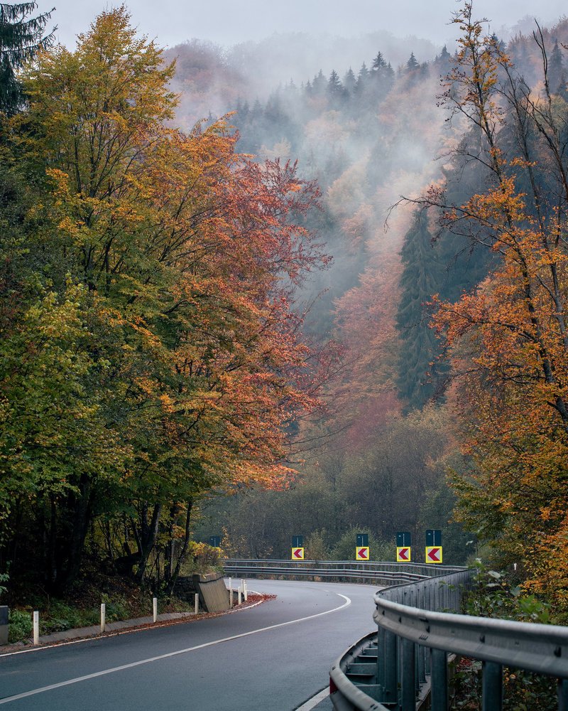 Photograph by Balog Francisc Sebastian