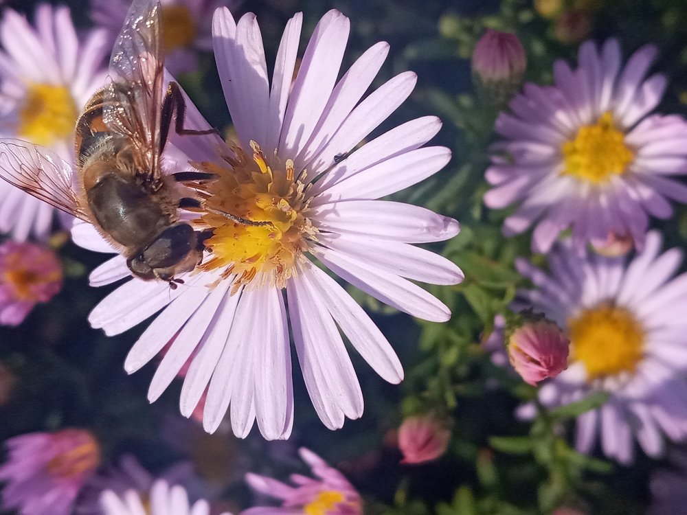 Photograph by Дарья Ващенко-Панкина