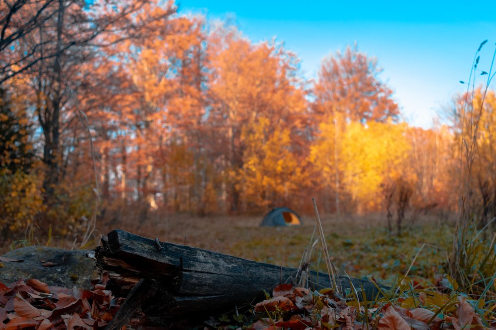 Photograph by Иштван Шандор