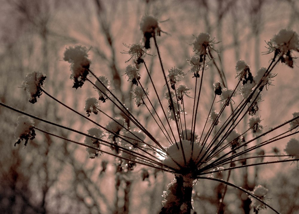 Photograph by Вадим Кондрат