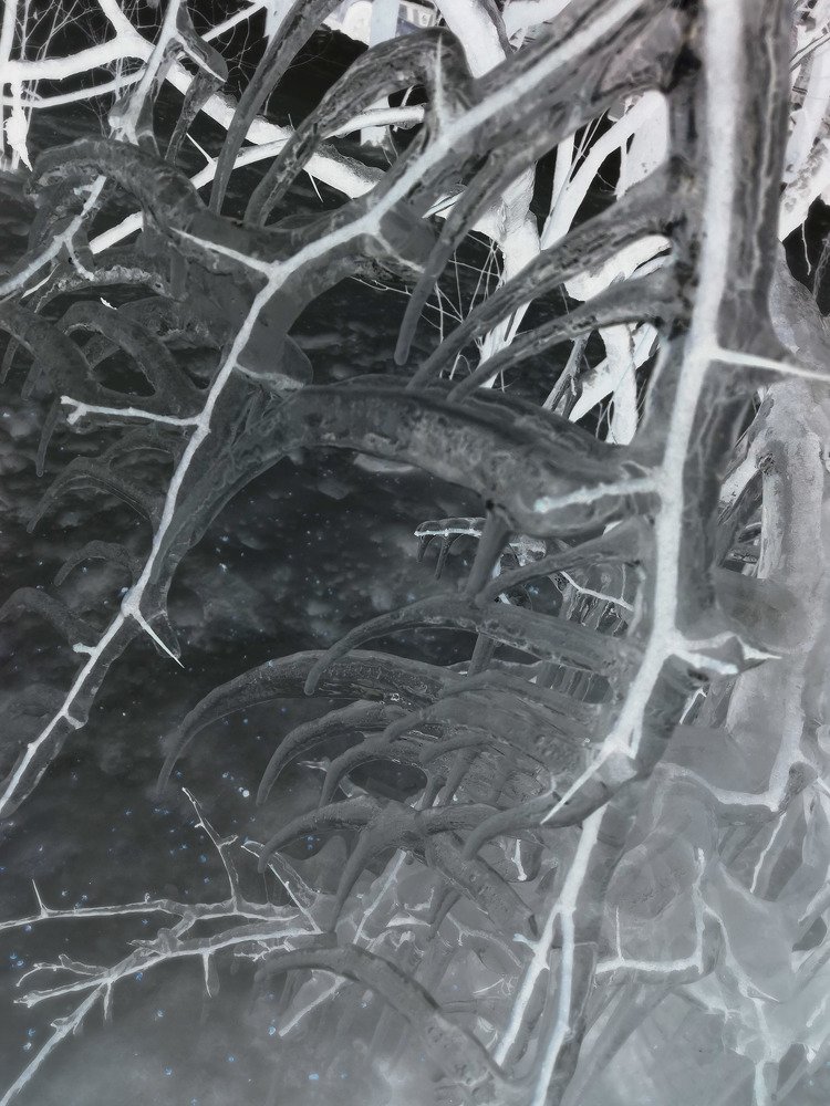 Photograph by Юлия Колоскова