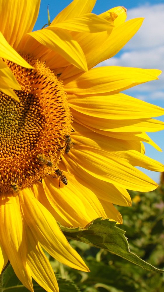 Робота кипит