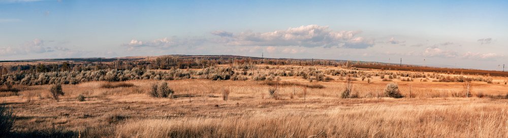 Глубокая осень в Поволжских степях....