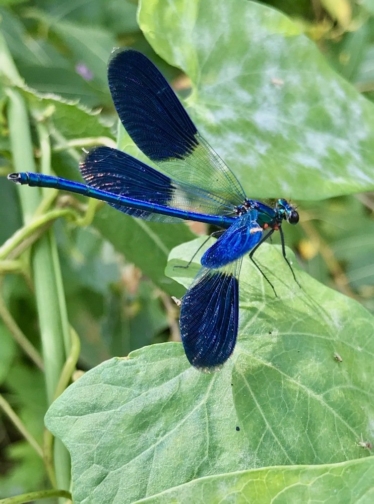 Photograph by Наталья Перерва