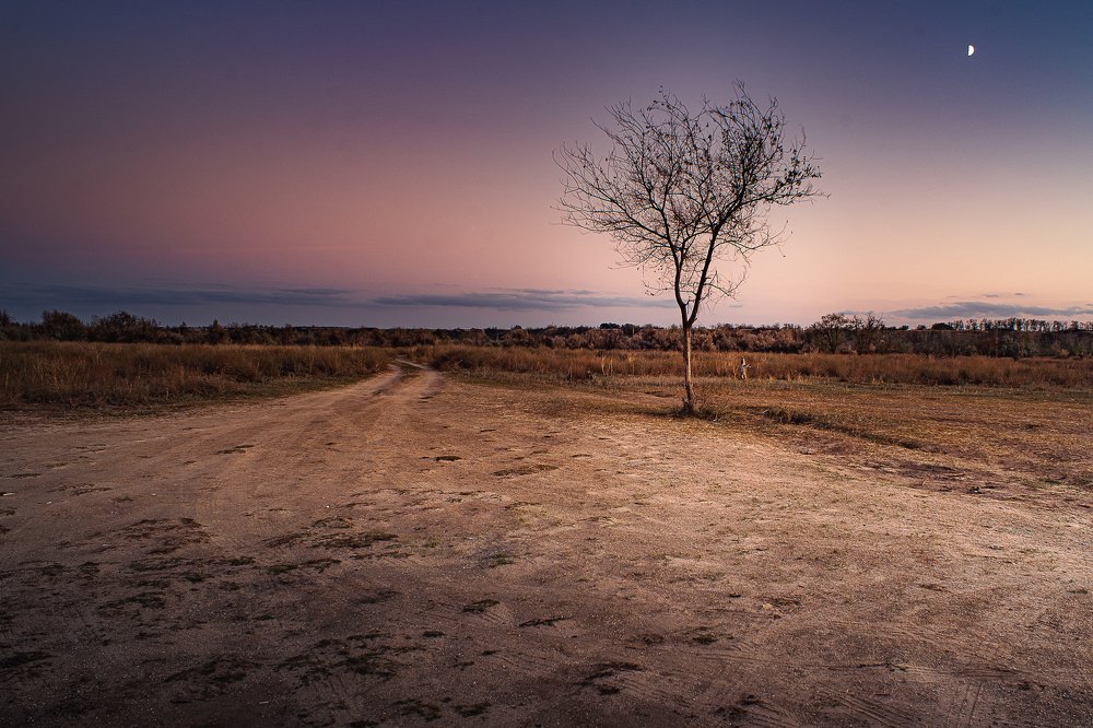 Photograph by Maksim Miroshnichenko