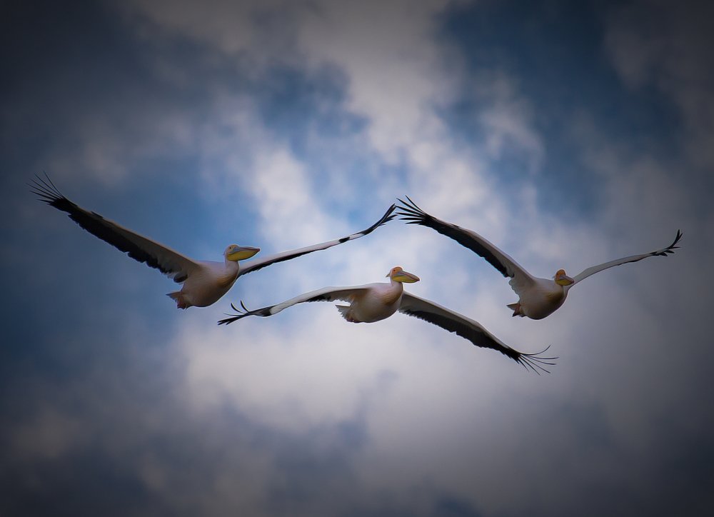 Photograph by Bayazidi Michael