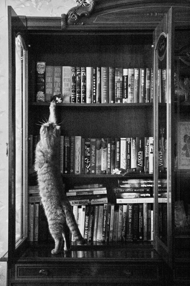 Photograph by Александра Боброва