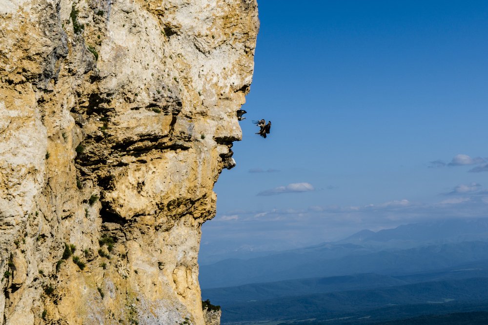 Photograph by Виталий Евдокимов