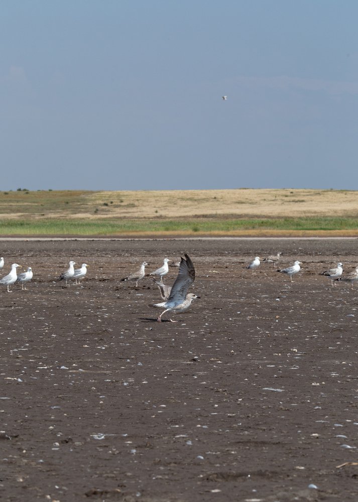 Photograph by Лена Тулай