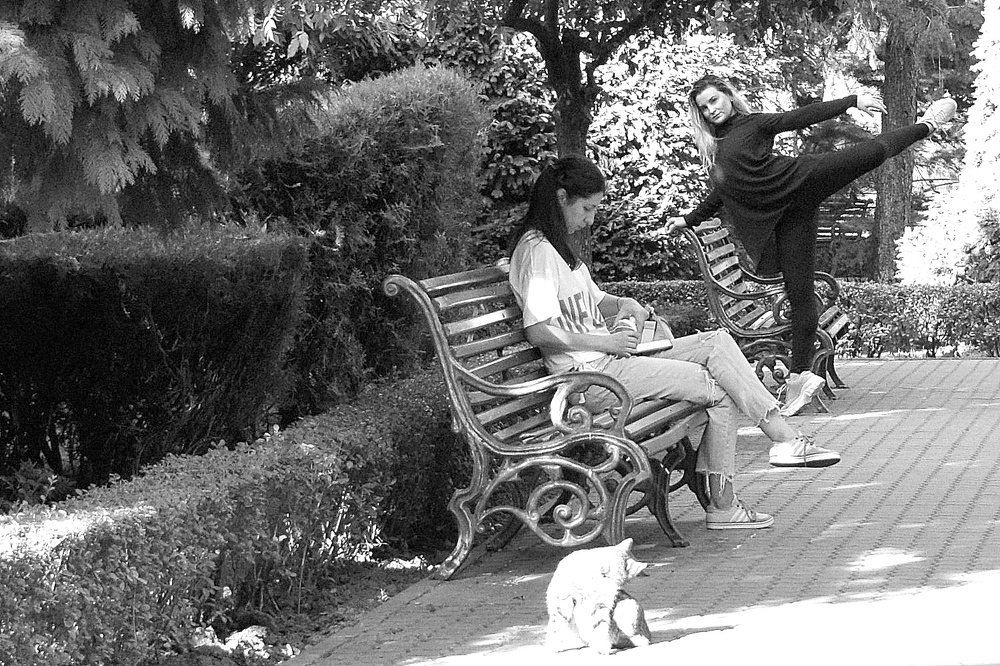 Photograph by Cristian Mirescu