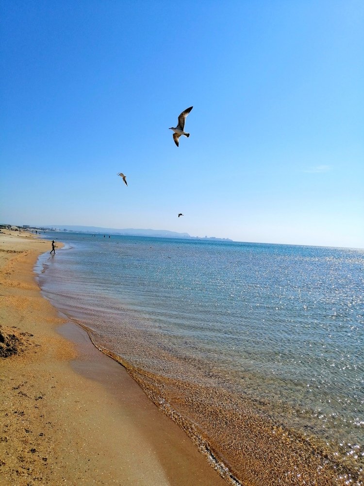 Конец летнего сезона.