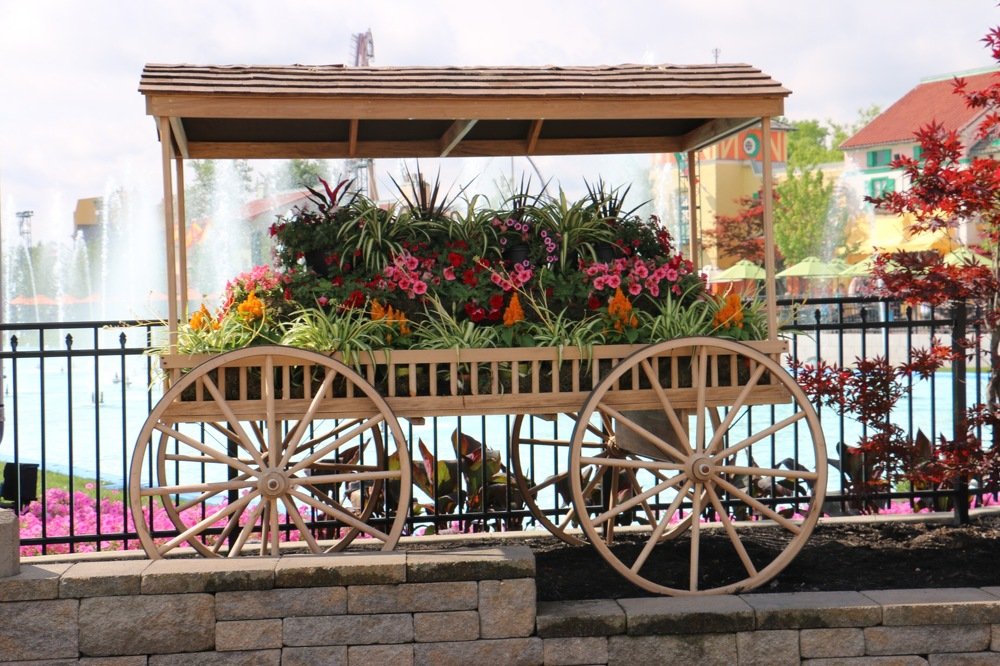 Photograph by Маргарита Венсил.